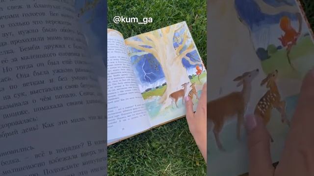 Видеообзор книги Бемби с акварельными иллюстрациями Ирины Маковеевой смотреть онлайн