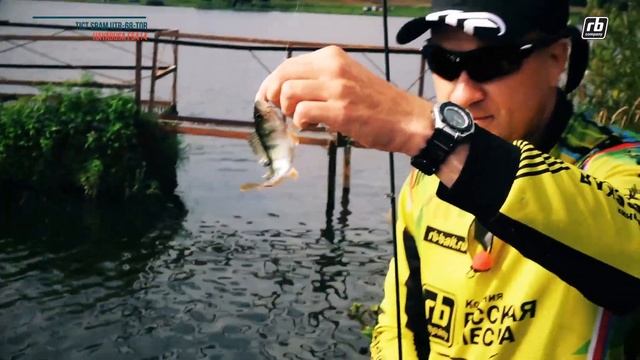 ОКУНЬ на ПИЛЬКЕРЫ. смотреть онлайн