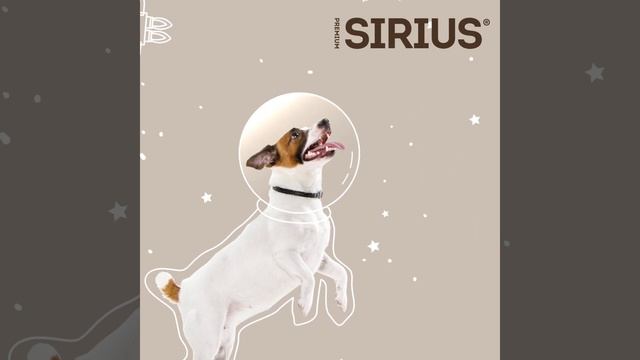 SIRIUS С Днем космонавтики смотреть онлайн