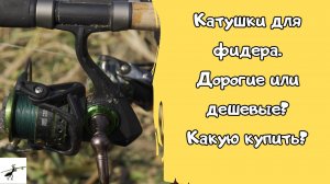 Рыболовные катушки для фидера. Дорогие или дешевые_ Какую катушку купить на фидер в 2024 году_