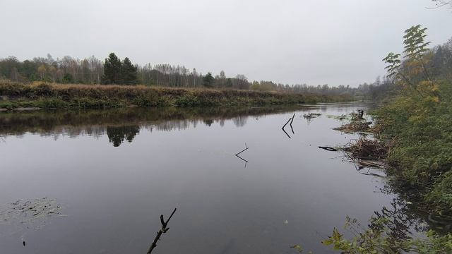 Река Уводь. ч.8. Октябрь 2024 смотреть онлайн