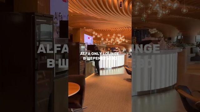В Шереметьево открылся новый ALFA ONLY LOUNGE для клиентов Альфа-банка #travel #шереметьево смотреть онлайн