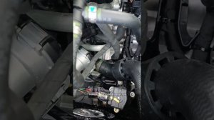 Где находится номер двигателя Haval Jolion #automobile #GW4B15D