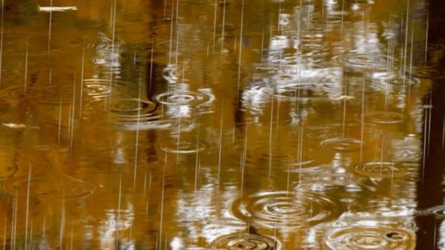Осенний футаж. Капли дождя по воде смотреть онлайн