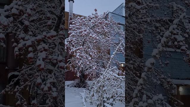 обильный снегопад! смотреть онлайн