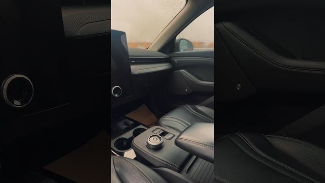 Ford Mustang Mach-E смотреть онлайн