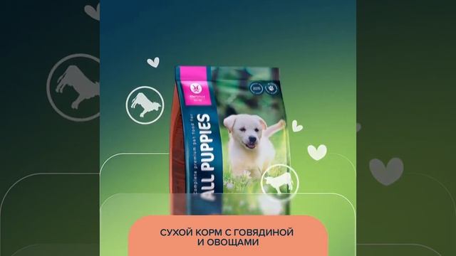 Aller Petfood. Демонстрация линейки кормов смотреть онлайн