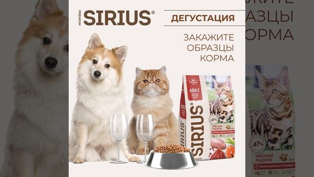 Анимационный пост SIRIUS смотреть онлайн