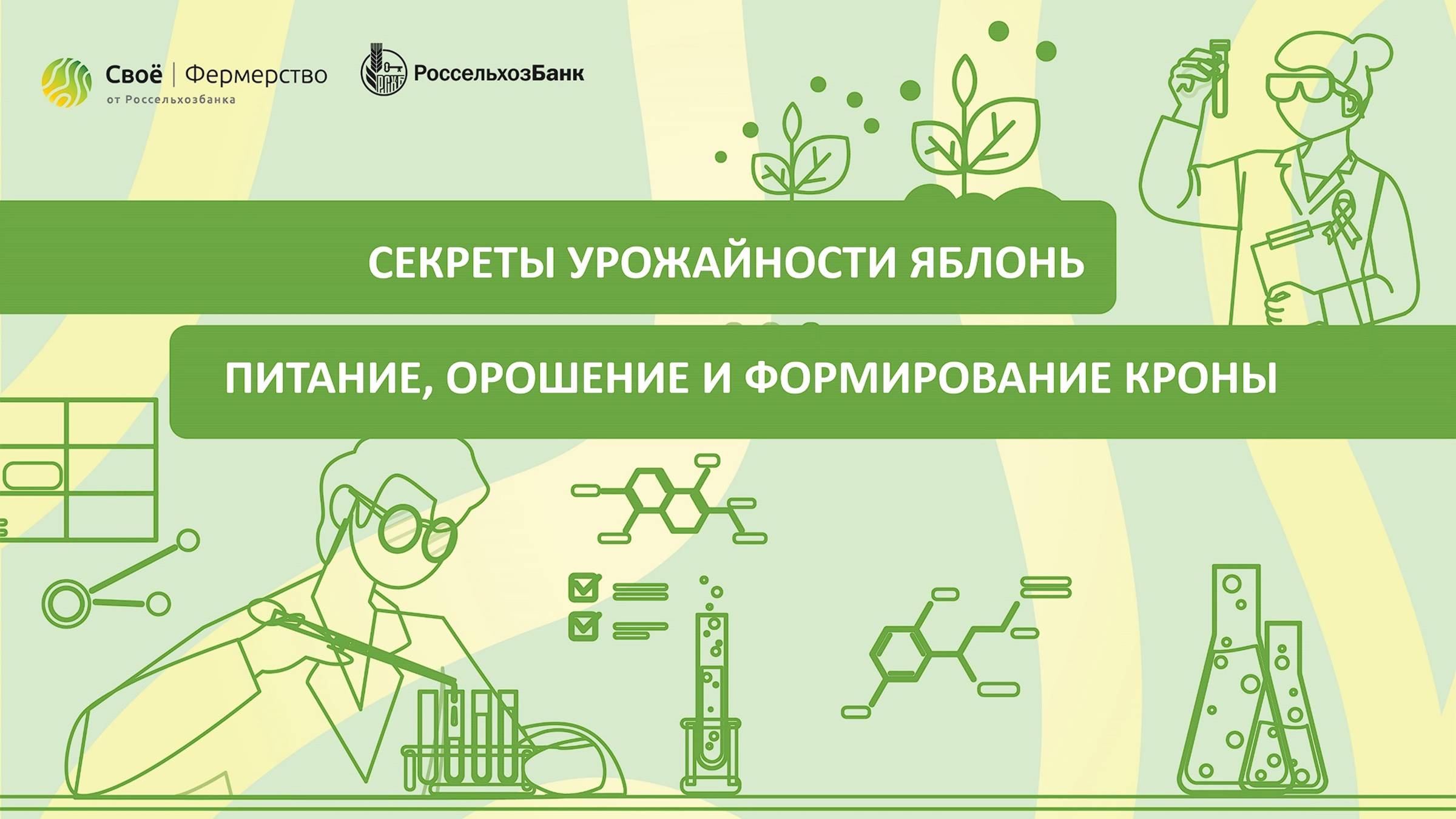 Секреты урожайности яблонь: питание, орошение и формирование кроны смотреть онлайн