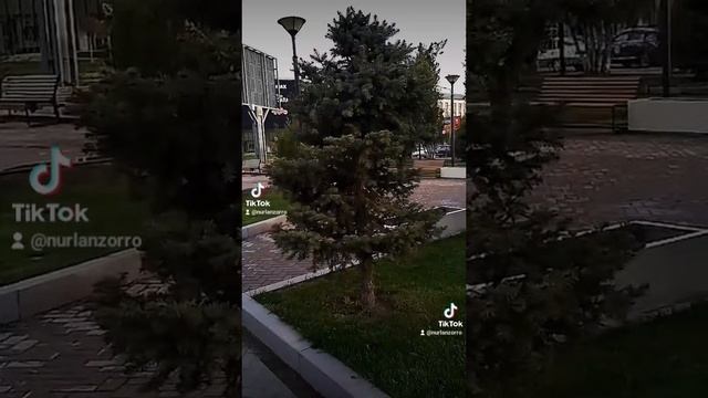 Путешествия