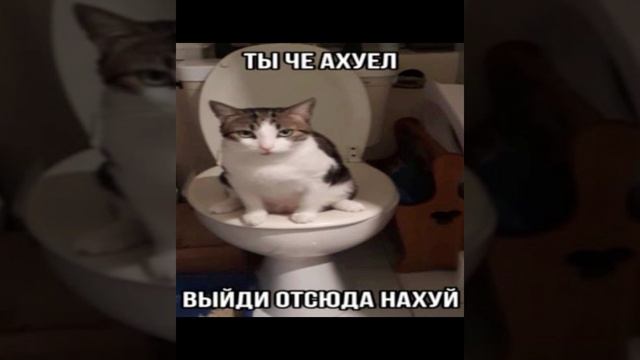 ЦИТАТЫ ВЕЛИКИХ