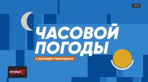 Часовой погоды | 6 ноября 2024 года