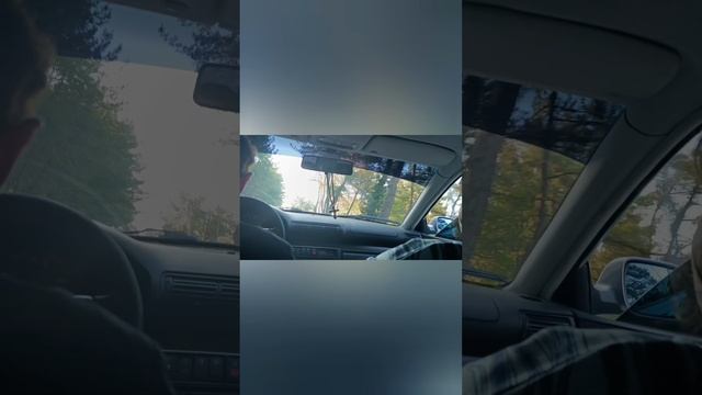 приезд в Абхазию (лето) смотреть онлайн