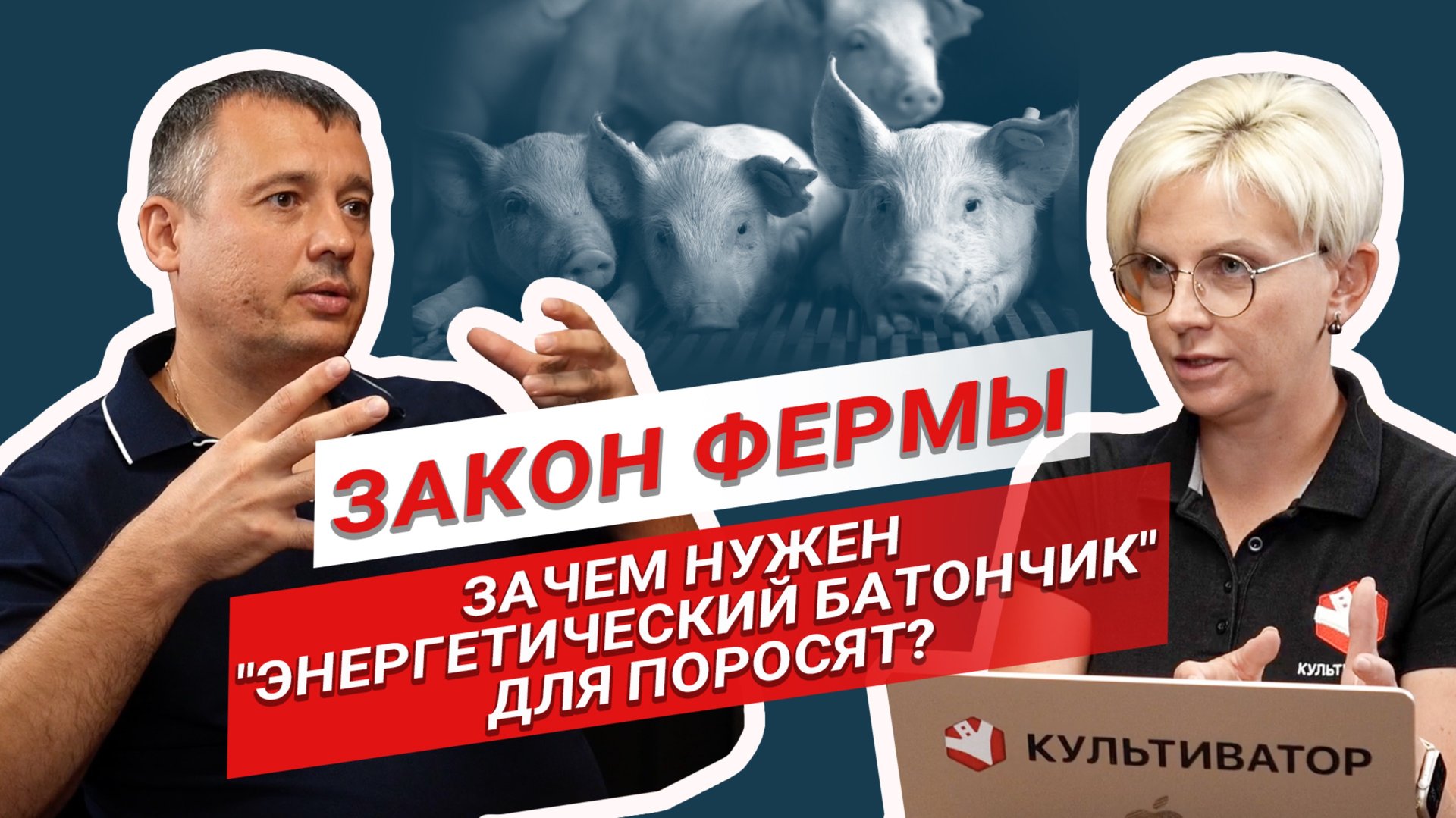 Как кормить поросят? | Эффективный откорм поросят | Бизнес в свиноводстве | Закон фермы смотреть онлайн