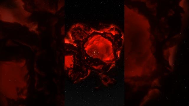 ВСЕ МЫ — ДЕТИ ЗВЕЗД | THE SPACEWAY смотреть онлайн