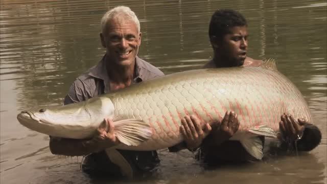 River Monsters Full Episode - Season 1, Episode 3 - European Maneater