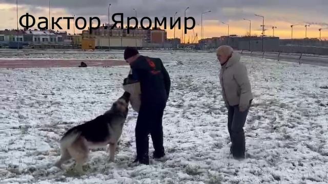 ЯРОМИР ПРК 03.11.24 смотреть онлайн