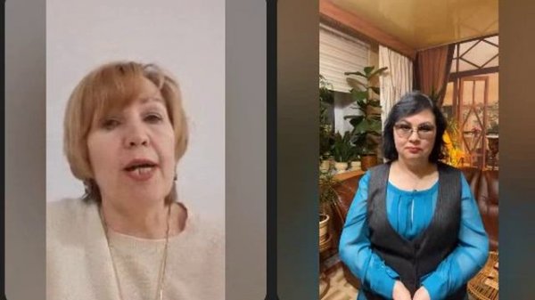 ЕЛЕНА НИКОЛАЕВА 2024.11.06.