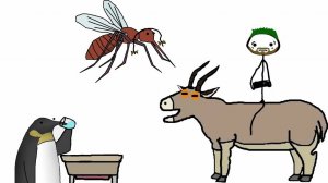 Интересные факты о животных- Академия Брокколи