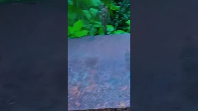 В этот день . 3 сентября 2024 . #Вэтотдень #вэтотдень #природа #рыбалка #красотаприроды смотреть онлайн