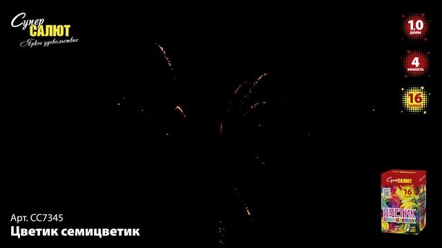 СС7345_2024 смотреть онлайн