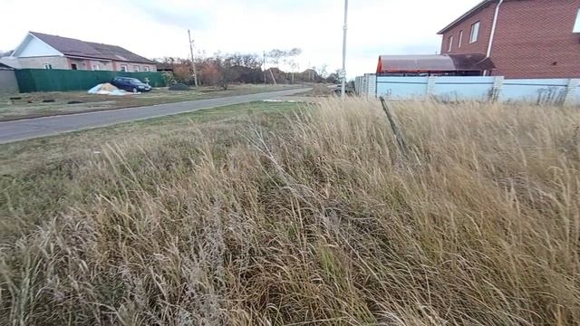 Медовка Центральная смотреть онлайн