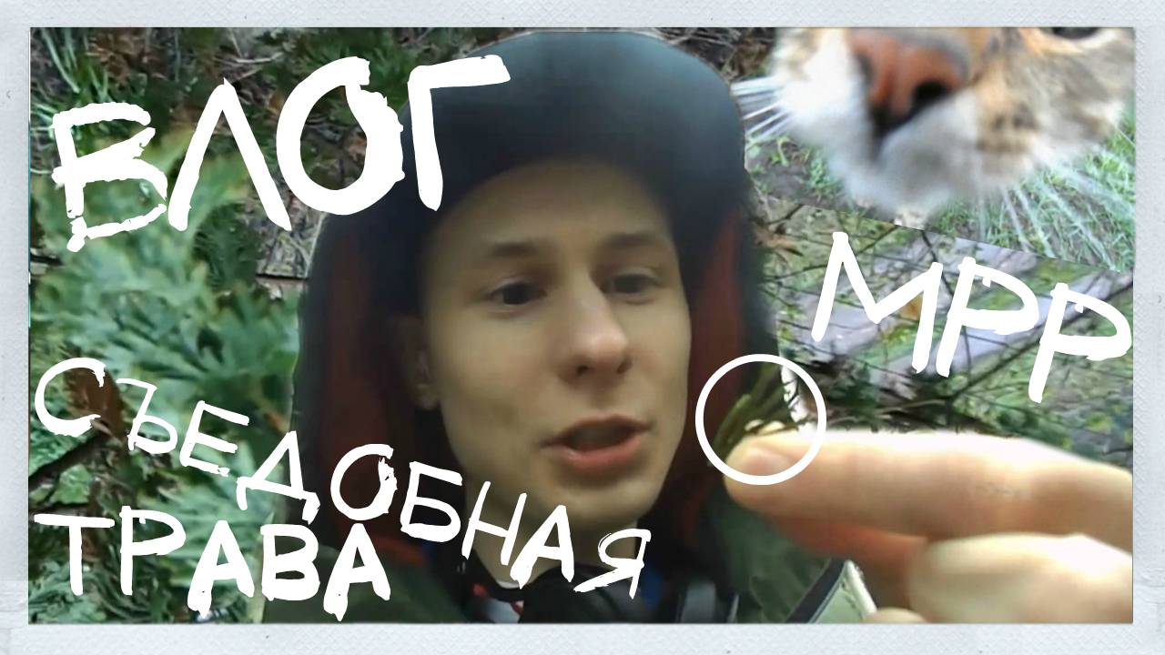 ВЛОГ: Съедобная трава. Кот который смог. МРР. VLOG: Cat who can do it. I and edible grass. MRR. смотреть онлайн