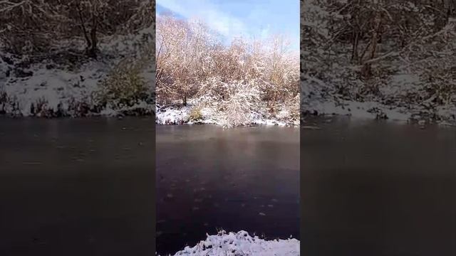 frozen смотреть онлайн