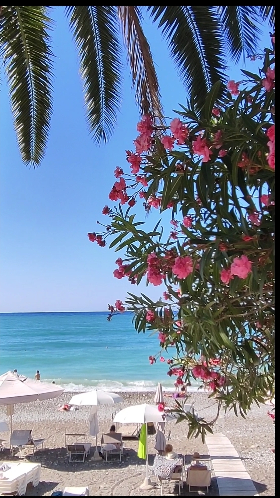 НАРТ"☀: ОТЕЛЬ. РЕСТОРАН. СПА. || ГАГРА. АБХАЗИЯ ☀|| СЕНТЯБРЬ 2024