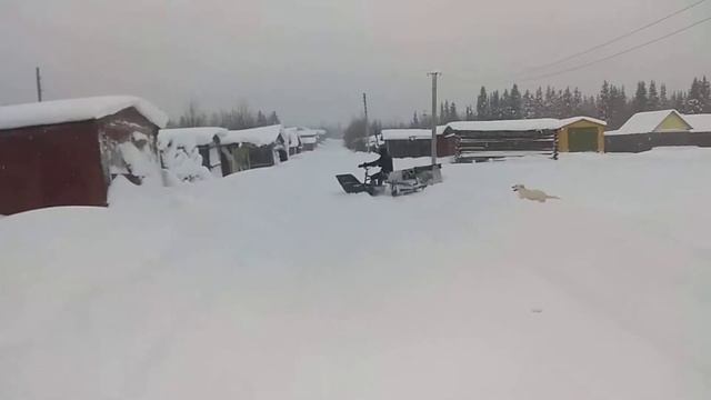 Тест мототалкача! смотреть онлайн