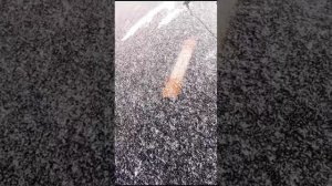 Доска для протяжки шнура подо льдом