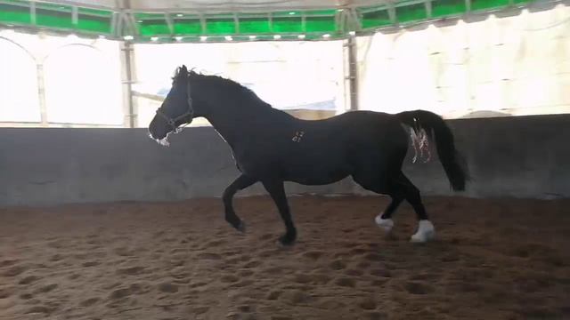 бегаем в бочке смотреть онлайн