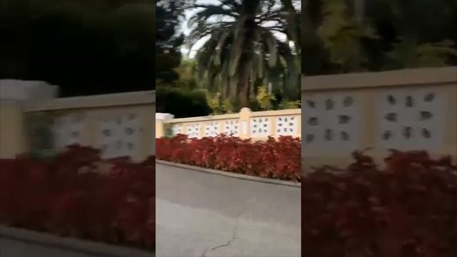 Осенью в Сочи так же красиво, как летом. смотреть онлайн