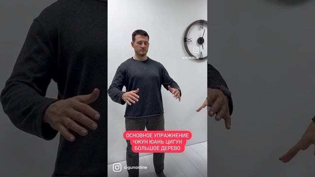 #цигун #цигундляначинающих #цигундома #цигунонлайн #цигунтур смотреть онлайн