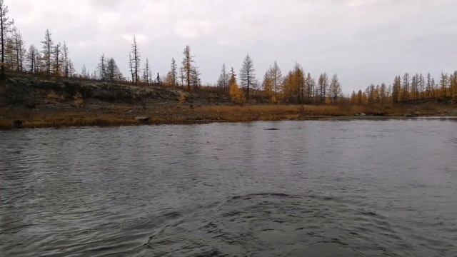 Fishing In Siberia On Taimen (Hucho) 2017