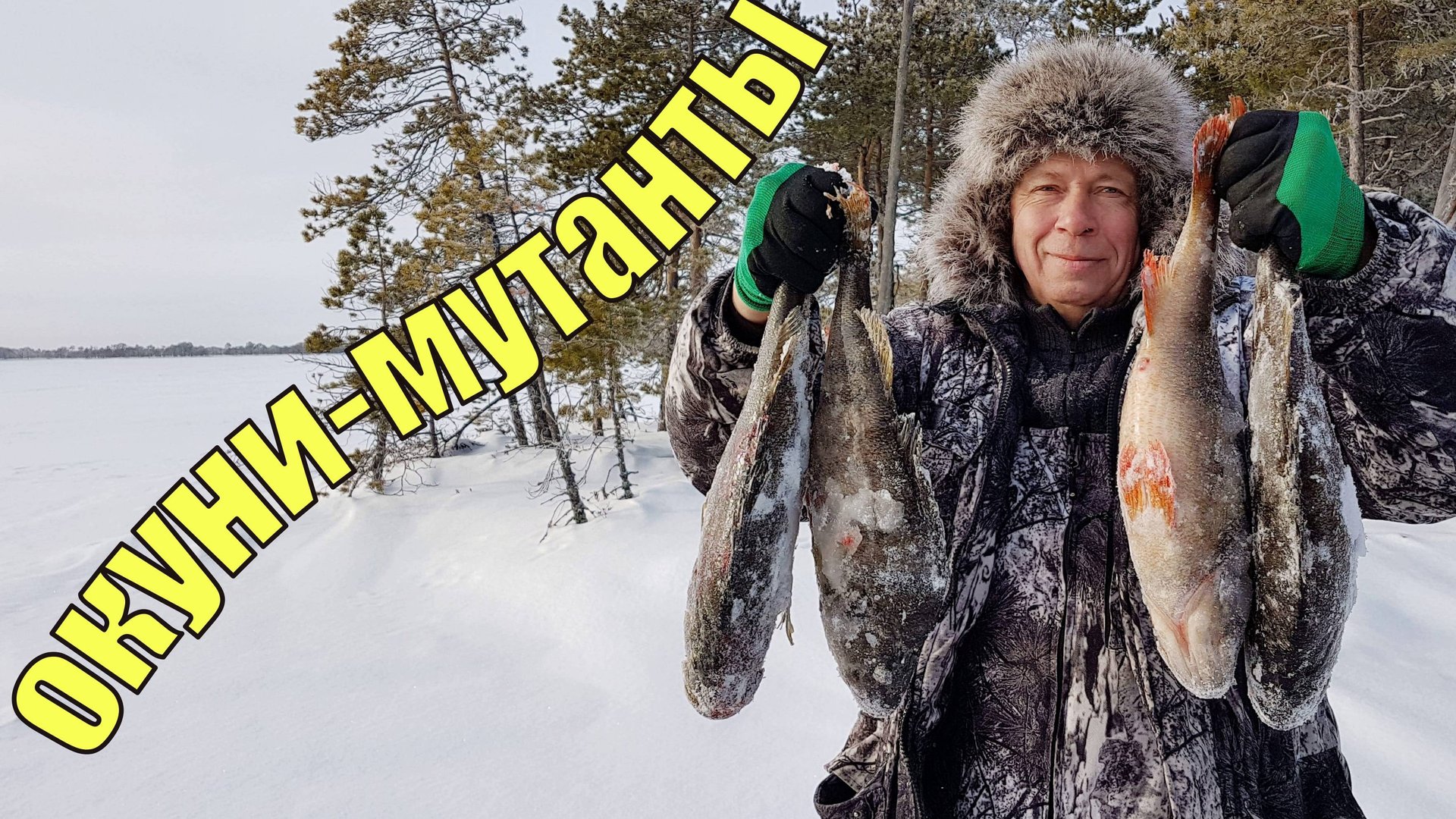 День монстров. Окуни-мутанты на озере ХМАО. смотреть онлайн