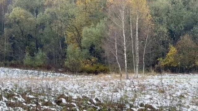 зу :1189 д. Мерзлово смотреть онлайн