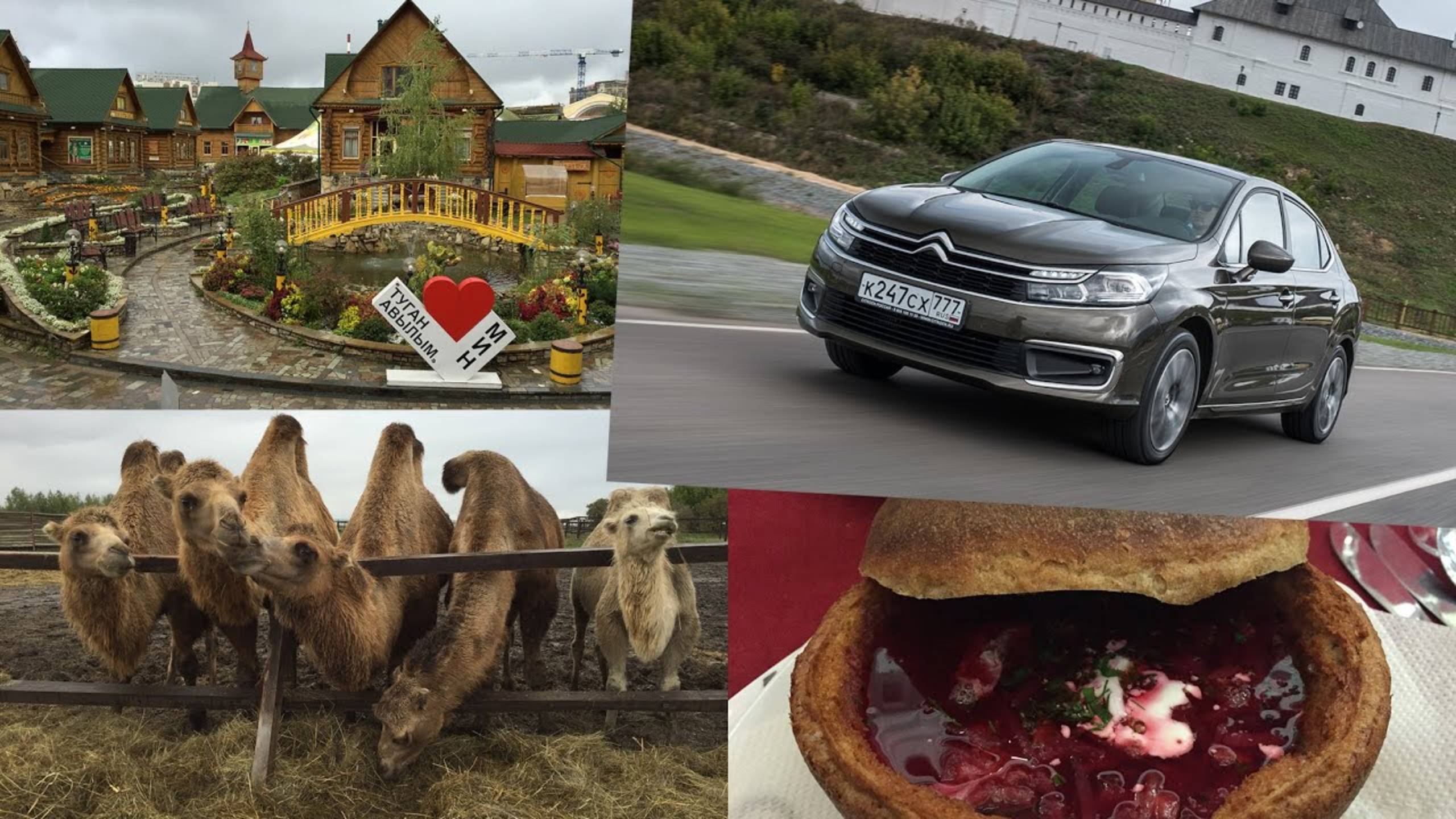 Костя Болотов о верблюдах и немного о седане Citroen C4 смотреть онлайн