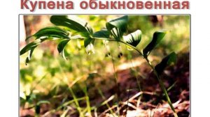 Пищевые отравления