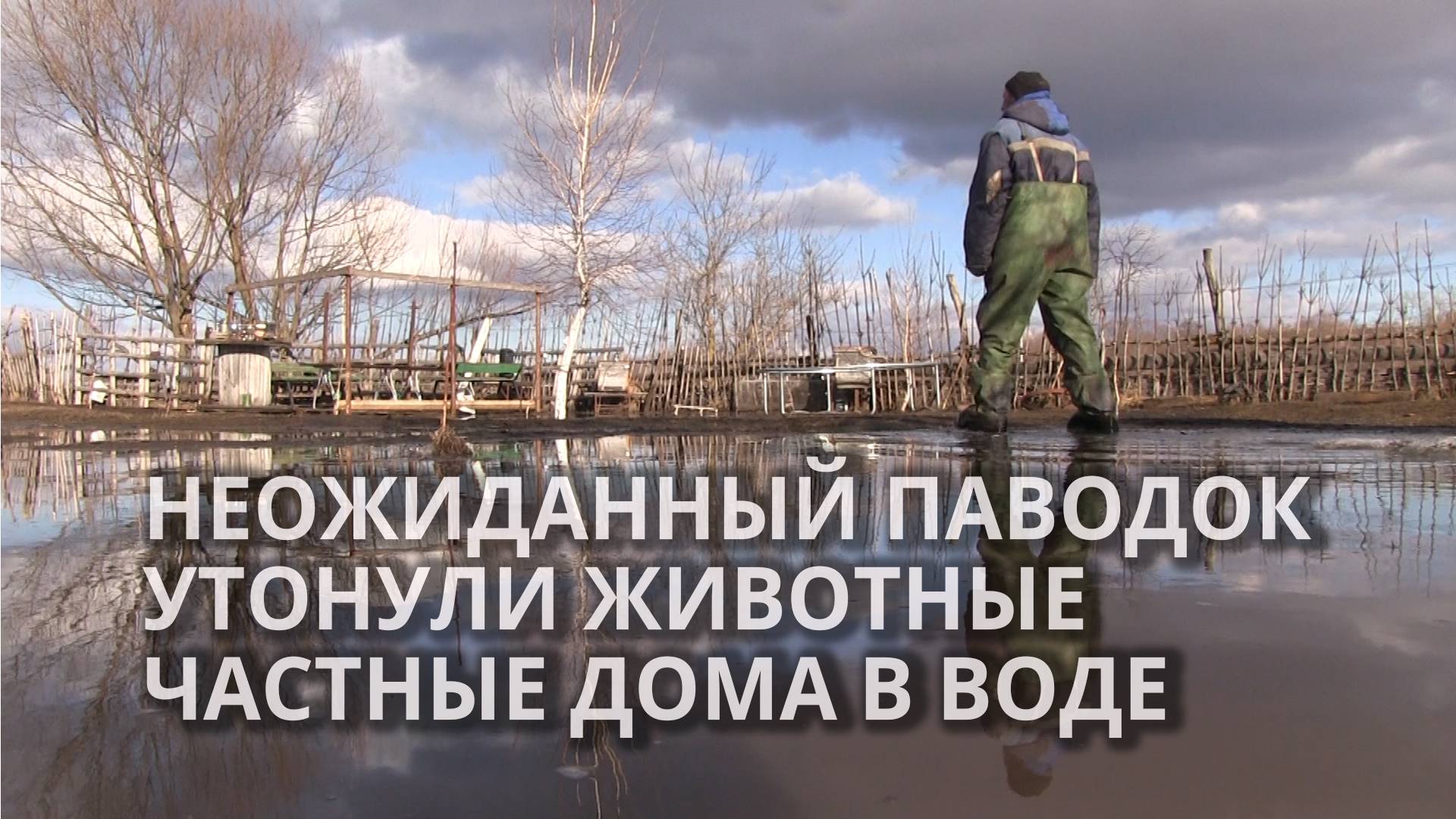 Крупный паводок в Татищево затопил зоопарк смотреть онлайн