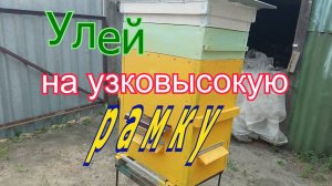 Улей на узковысокую рамку