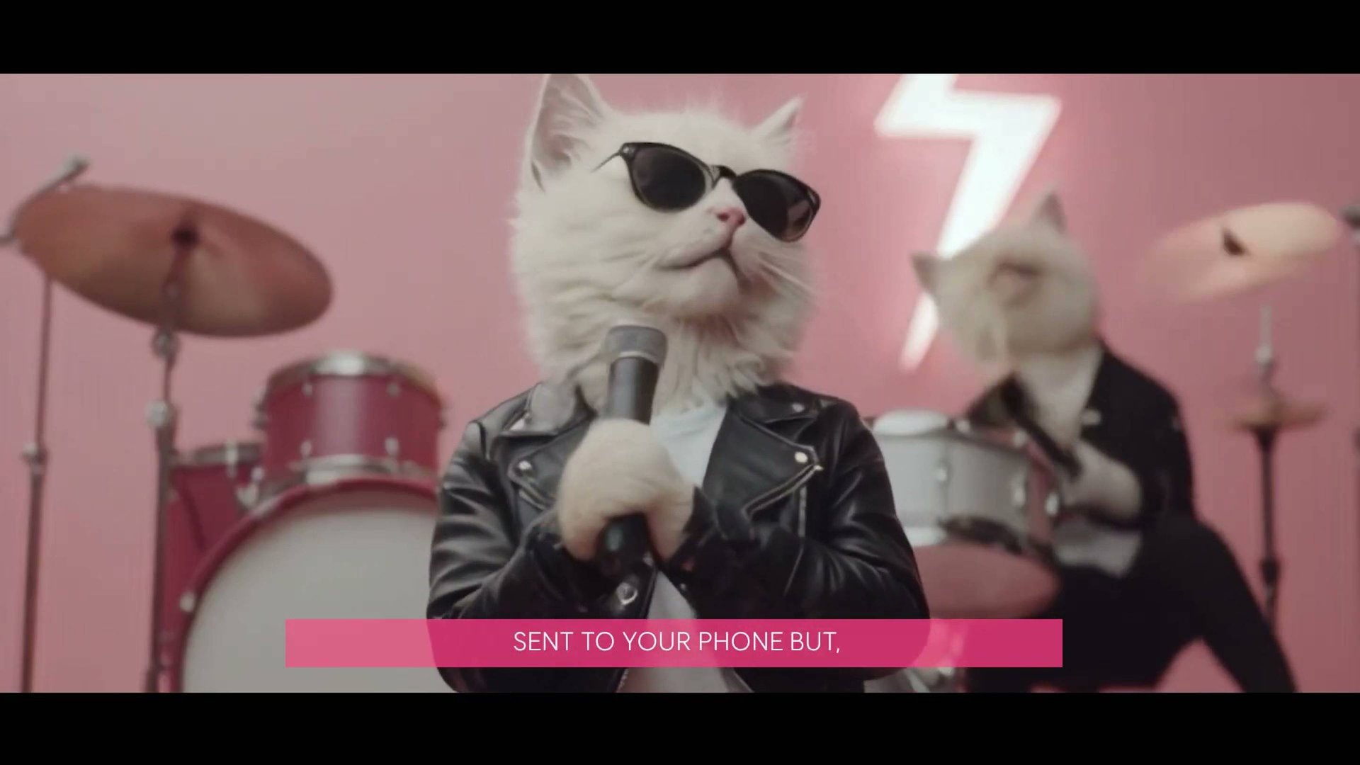 Кошачий АПТ смотреть онлайн