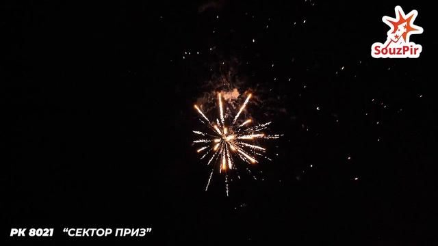 РК 8021 СЕКТОР ПРИЗ смотреть онлайн