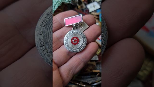 1000379887.mp4 смотреть онлайн