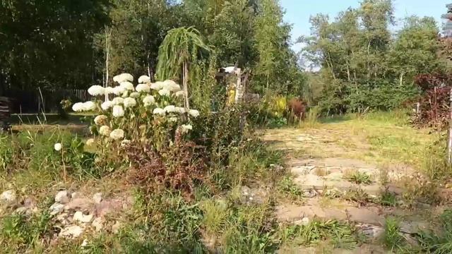 Загородная база для отдыха смотреть онлайн