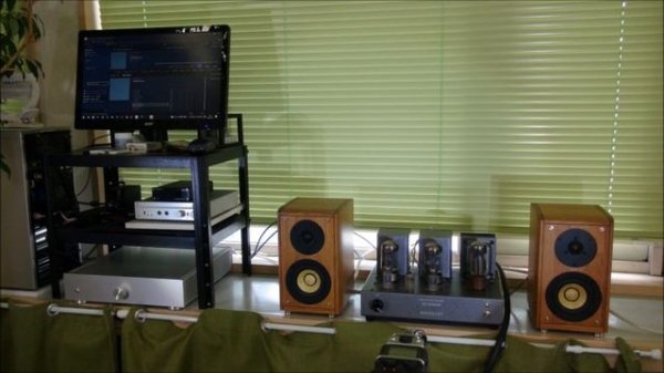 Pioneer S-A4 SPT + однотактник 8 Ватт Sunvalley SV-S1616D