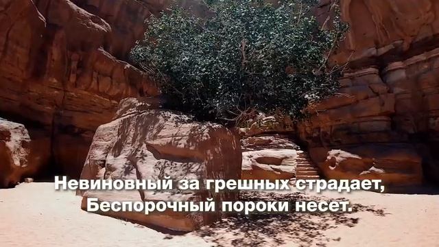 Равви - Екатерина Лихачёва смотреть онлайн