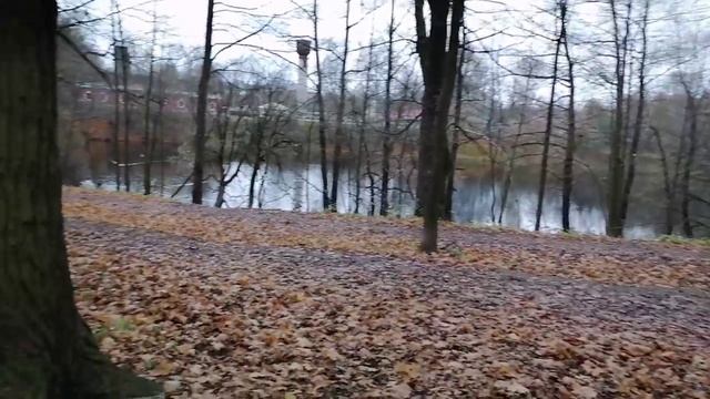 ПРОГУЛКА в октябре_ смотреть онлайн