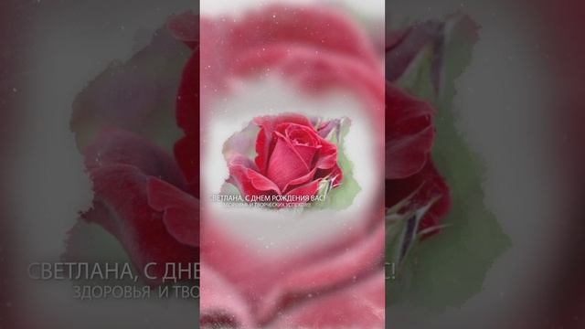 СветланаДР