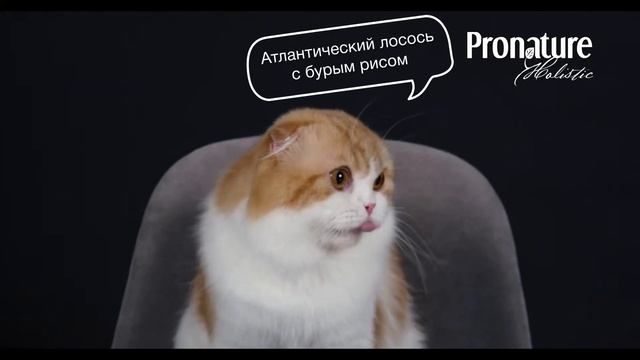 Видеоролик Pronature имидж смотреть онлайн